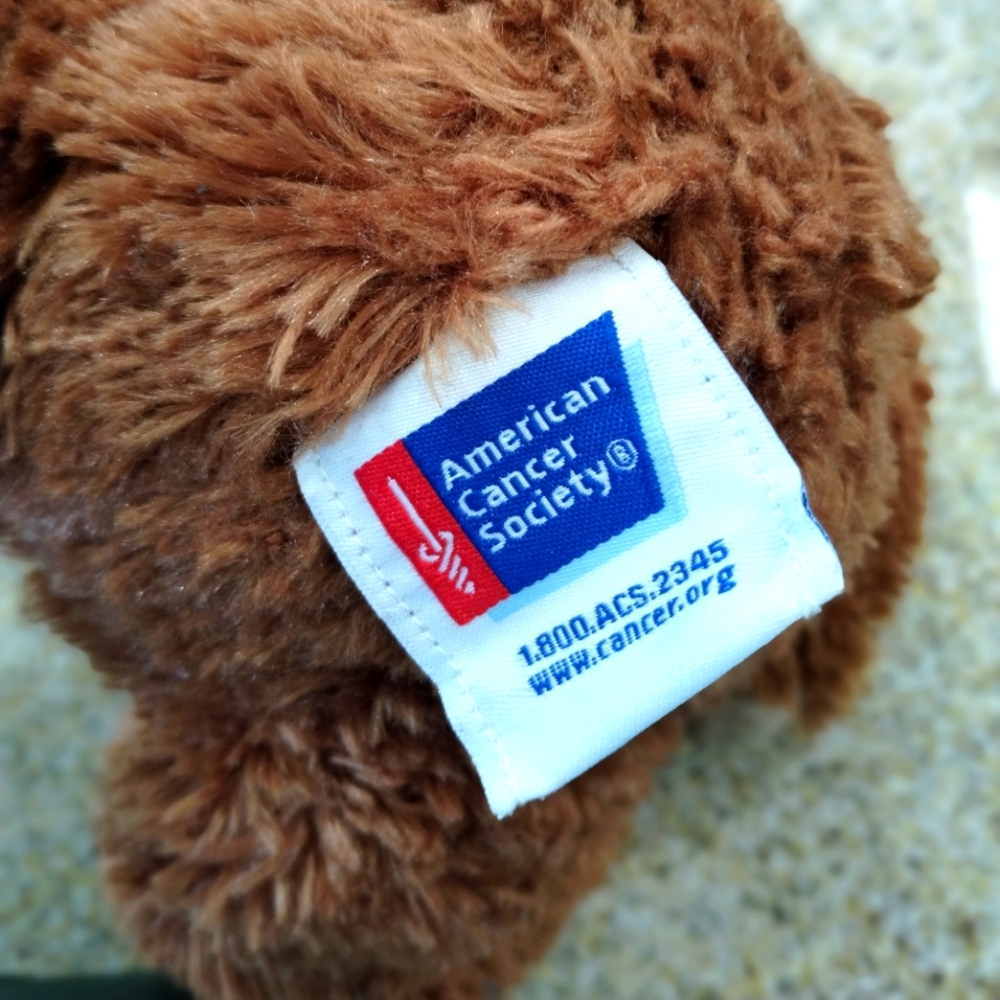 βBoyds Special Edition American Cancer Society Daffodil Days Teddy Bear Plush - Picture 5 of 14